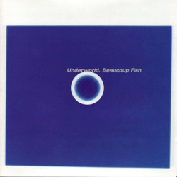 Beaucoup Fish